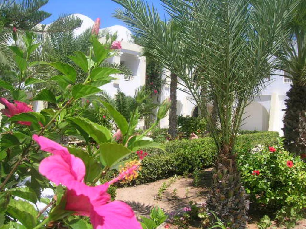 Hotel Cedriana Midoun Exteriér fotografie